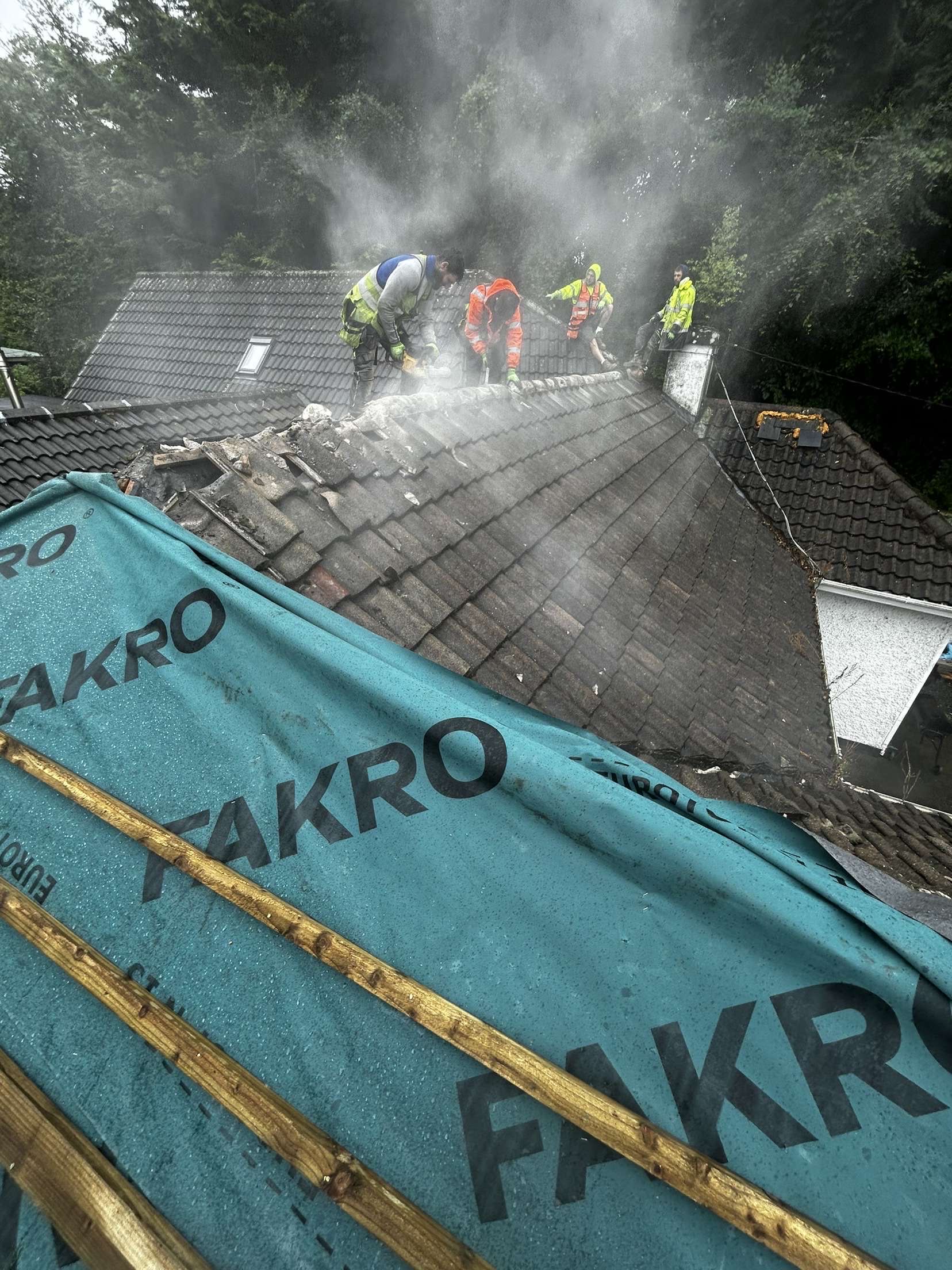 Professional cleaning services - roof and power washing