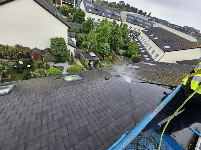 Professional cleaning services - roof and power washing